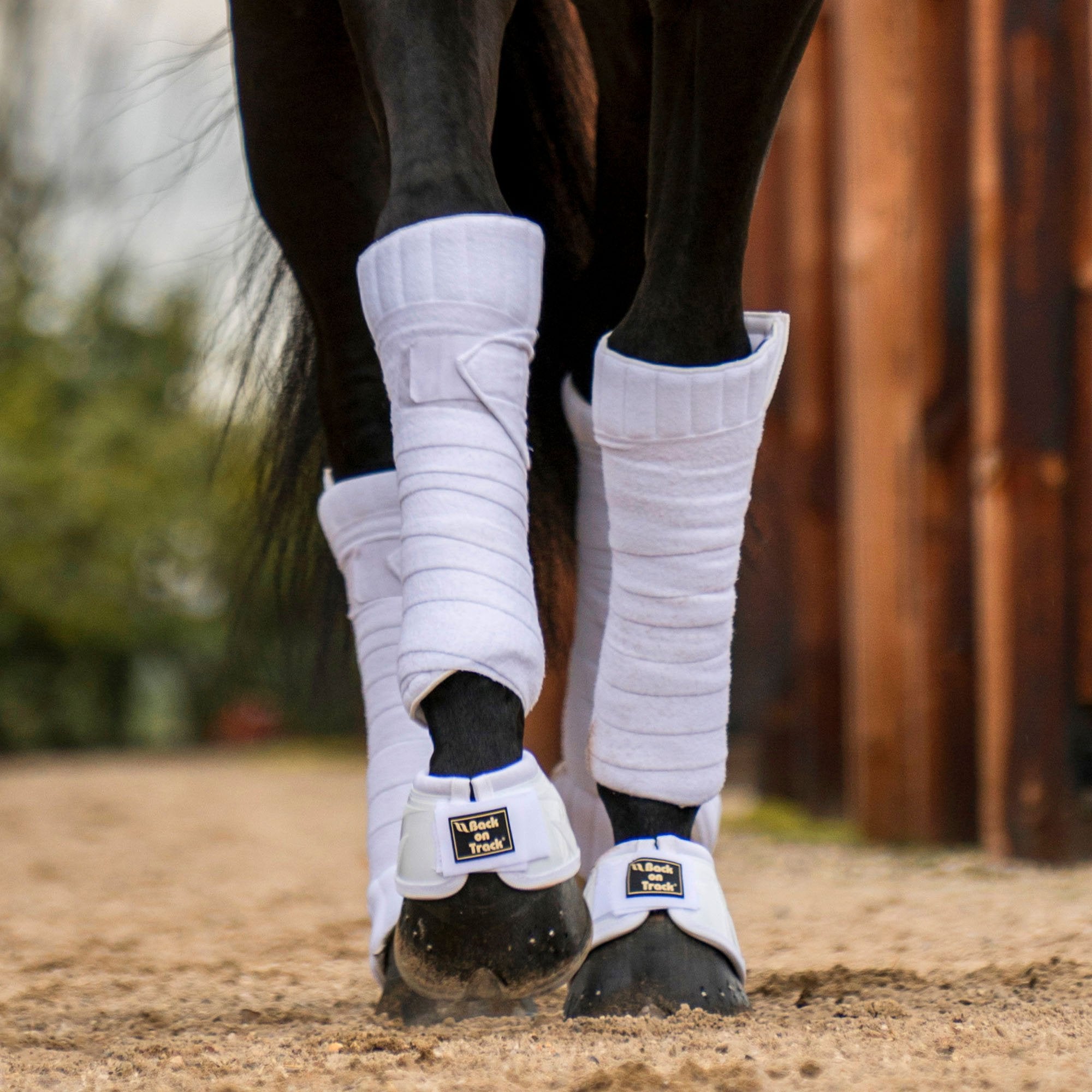 Bandageunderlag Scandic - Back on Track Danmark