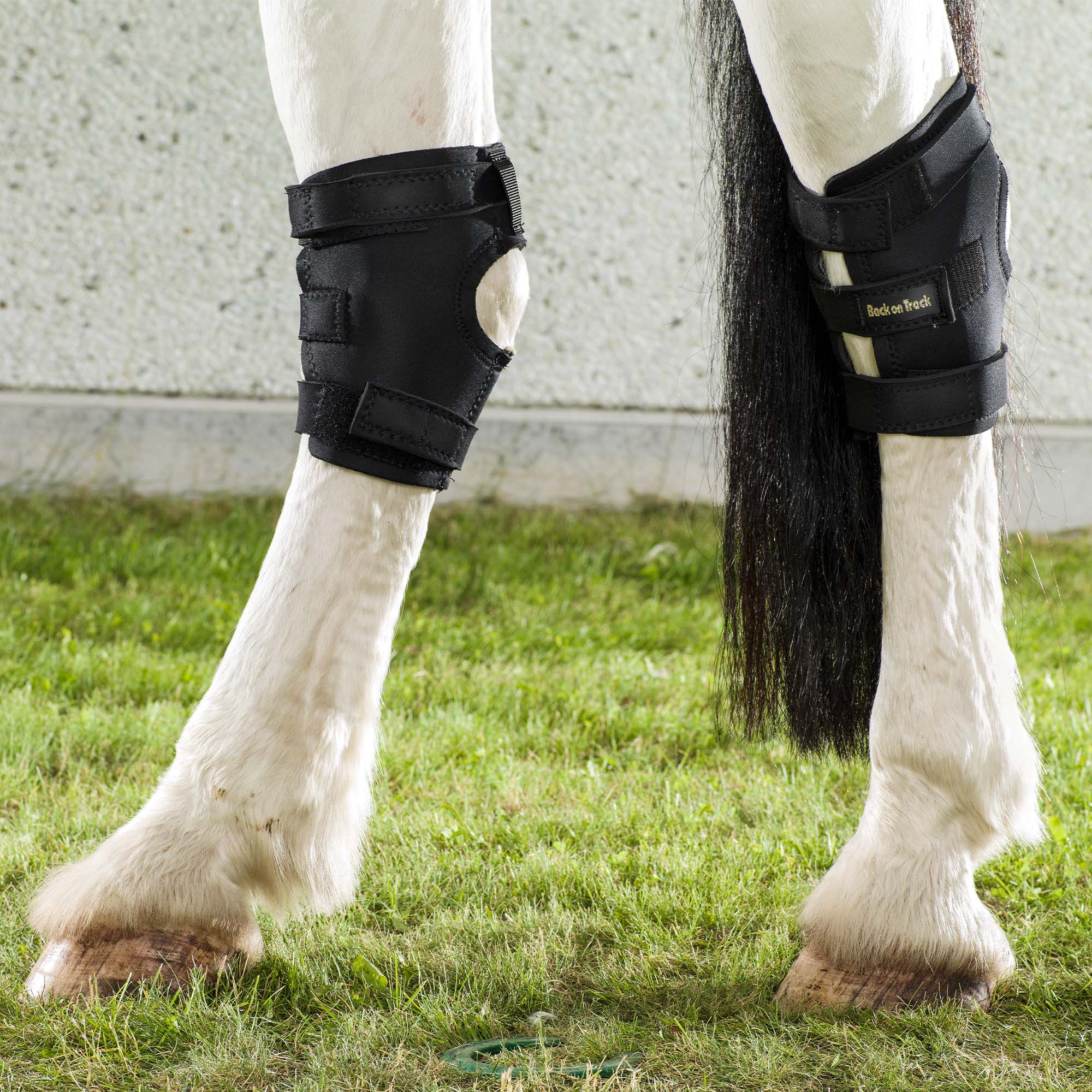 Hasebandage med hul Venstre - Back on Track Danmark