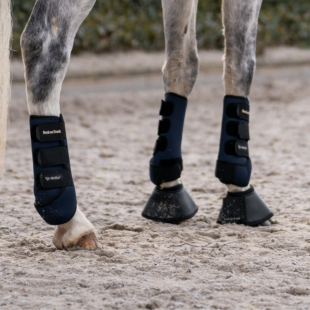 Opal Ridegamsche Forben - Back on Track Danmark