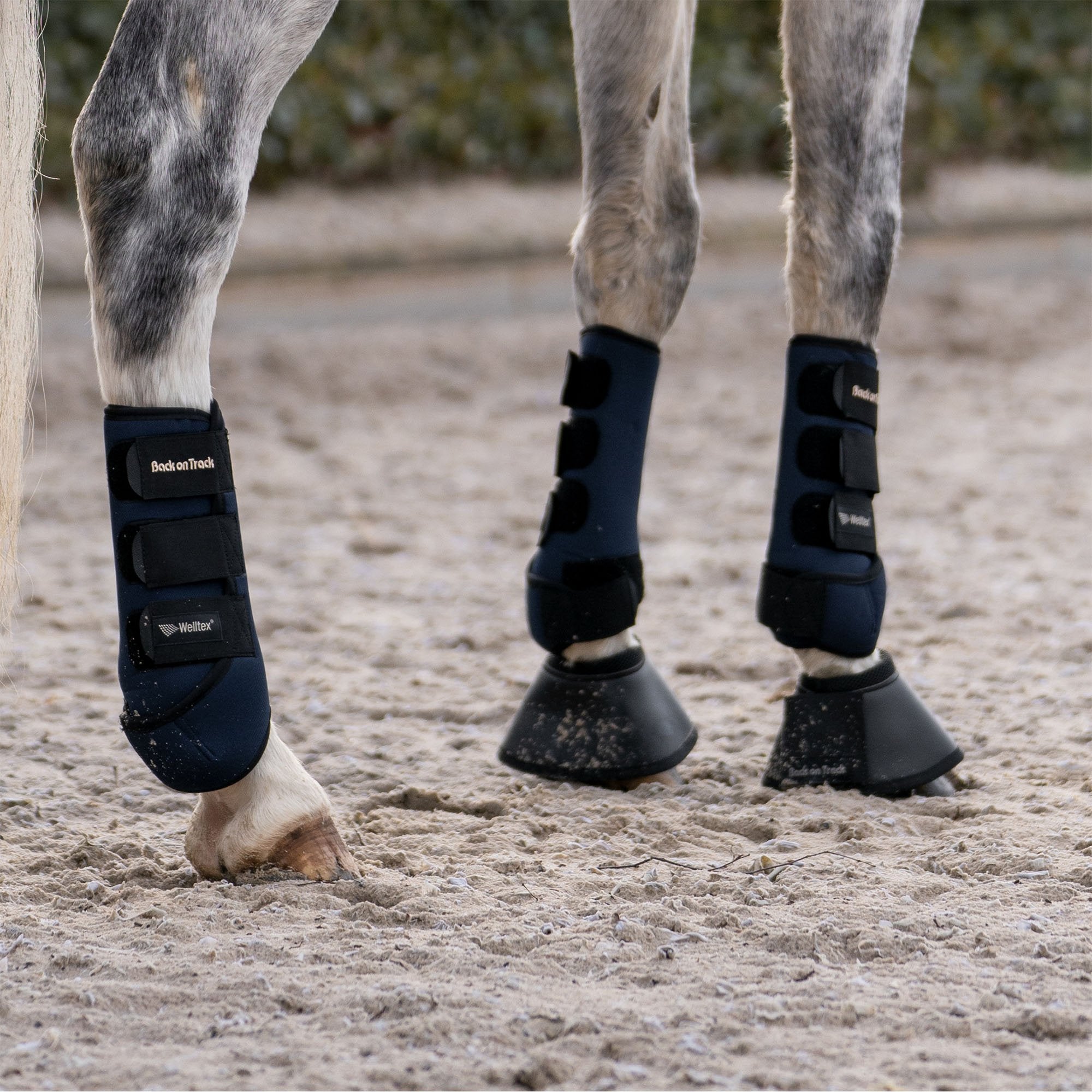 Opal Ridegamsche Forben - Back on Track Danmark