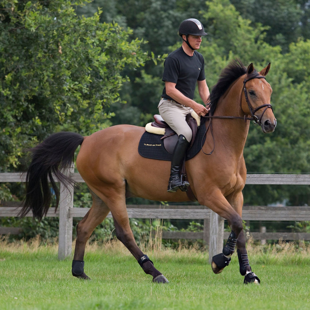 Ridegamacher Royal Work/ Dressur - Back on Track Danmark