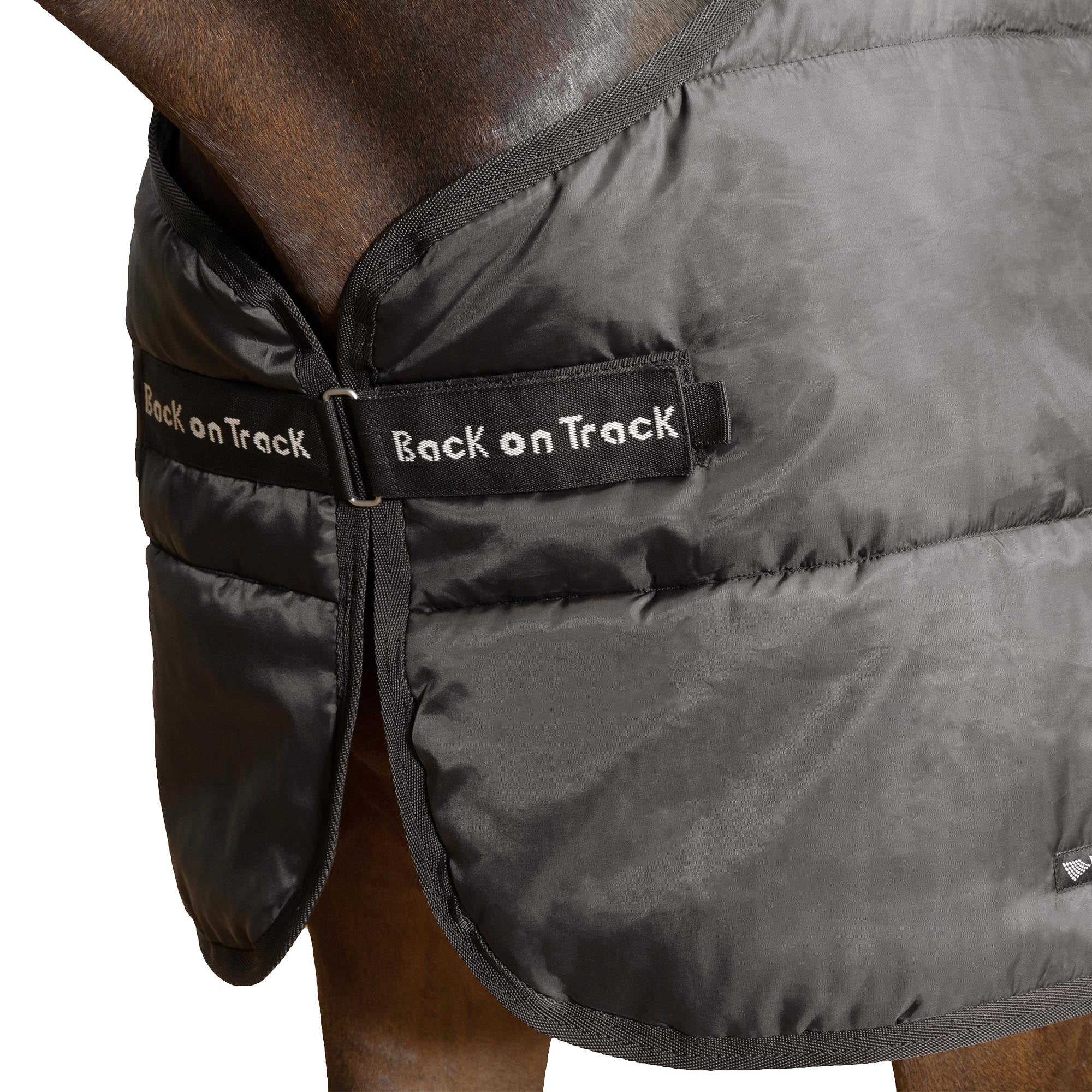 Innerfoder Felix - Back on Track Danmark