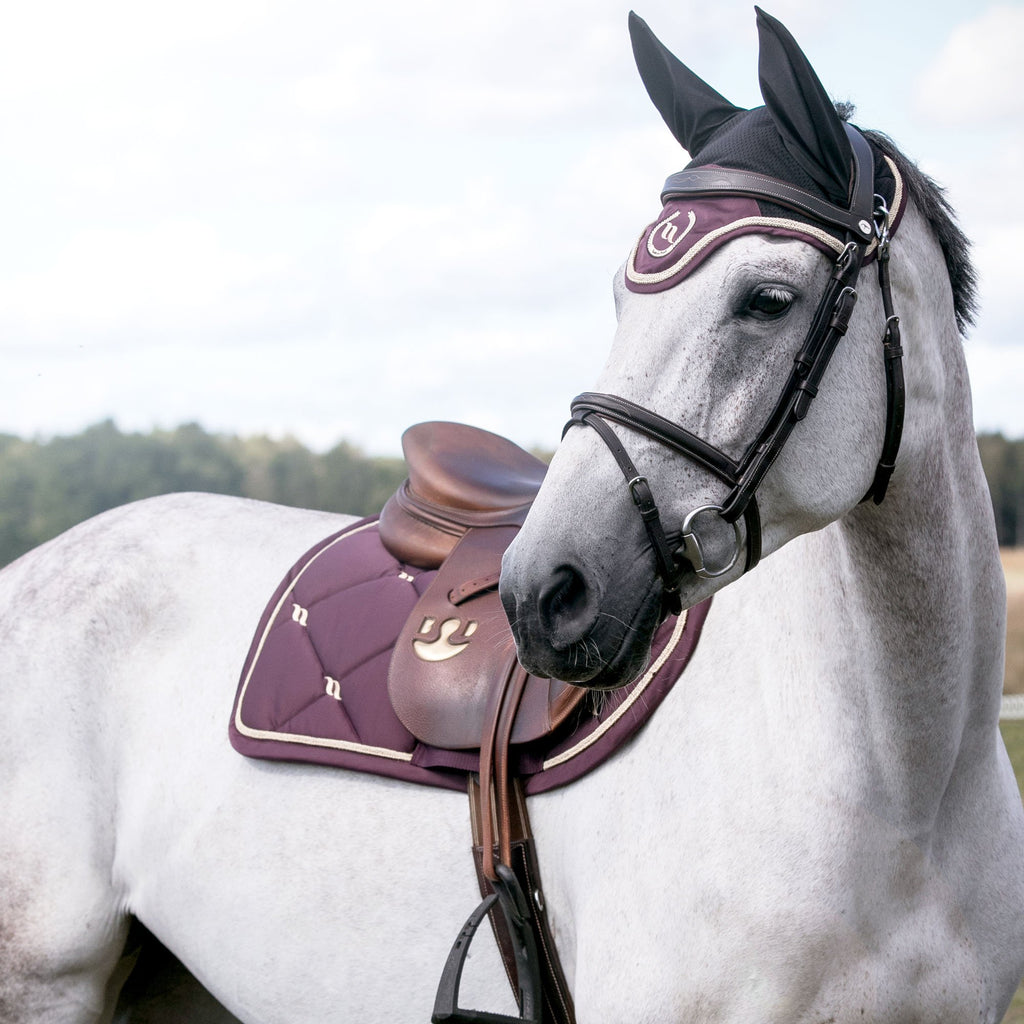NC Schabrak Dressyr - Back on Track Danmark