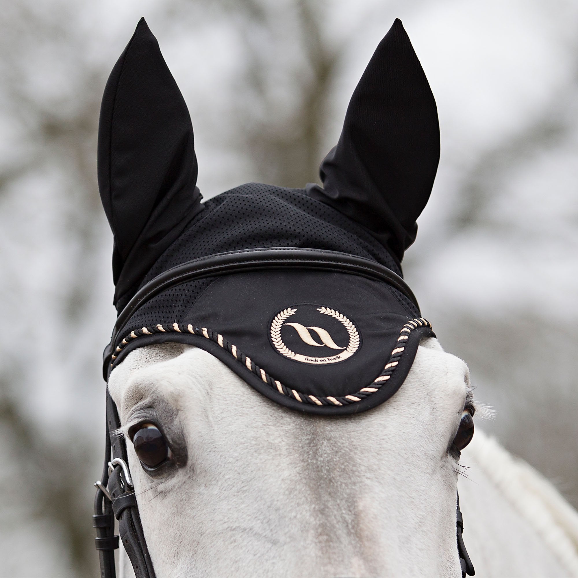 Hut - Back on Track Danmark