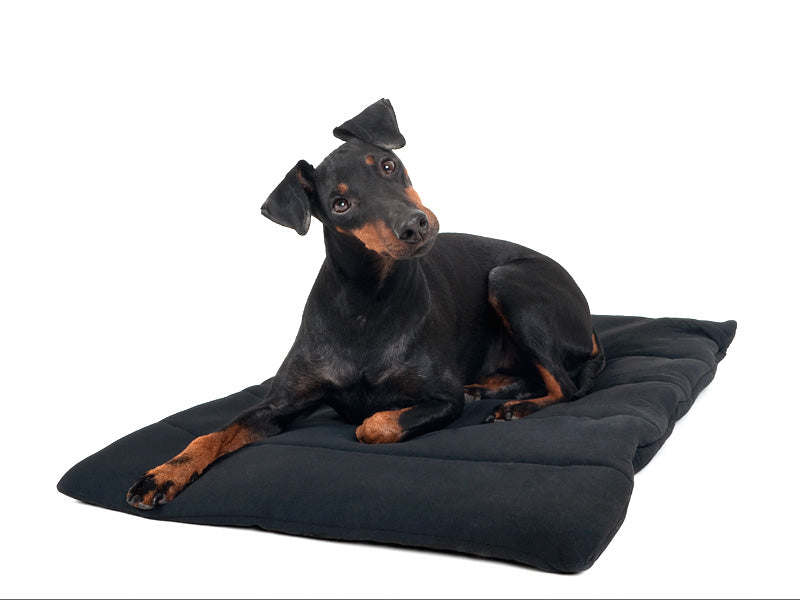 Hunde tæppe