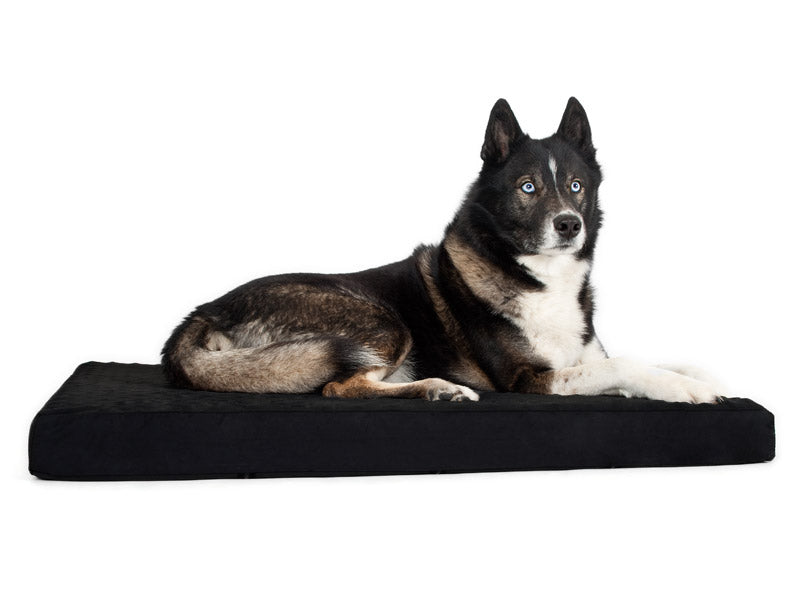 Hundemadras