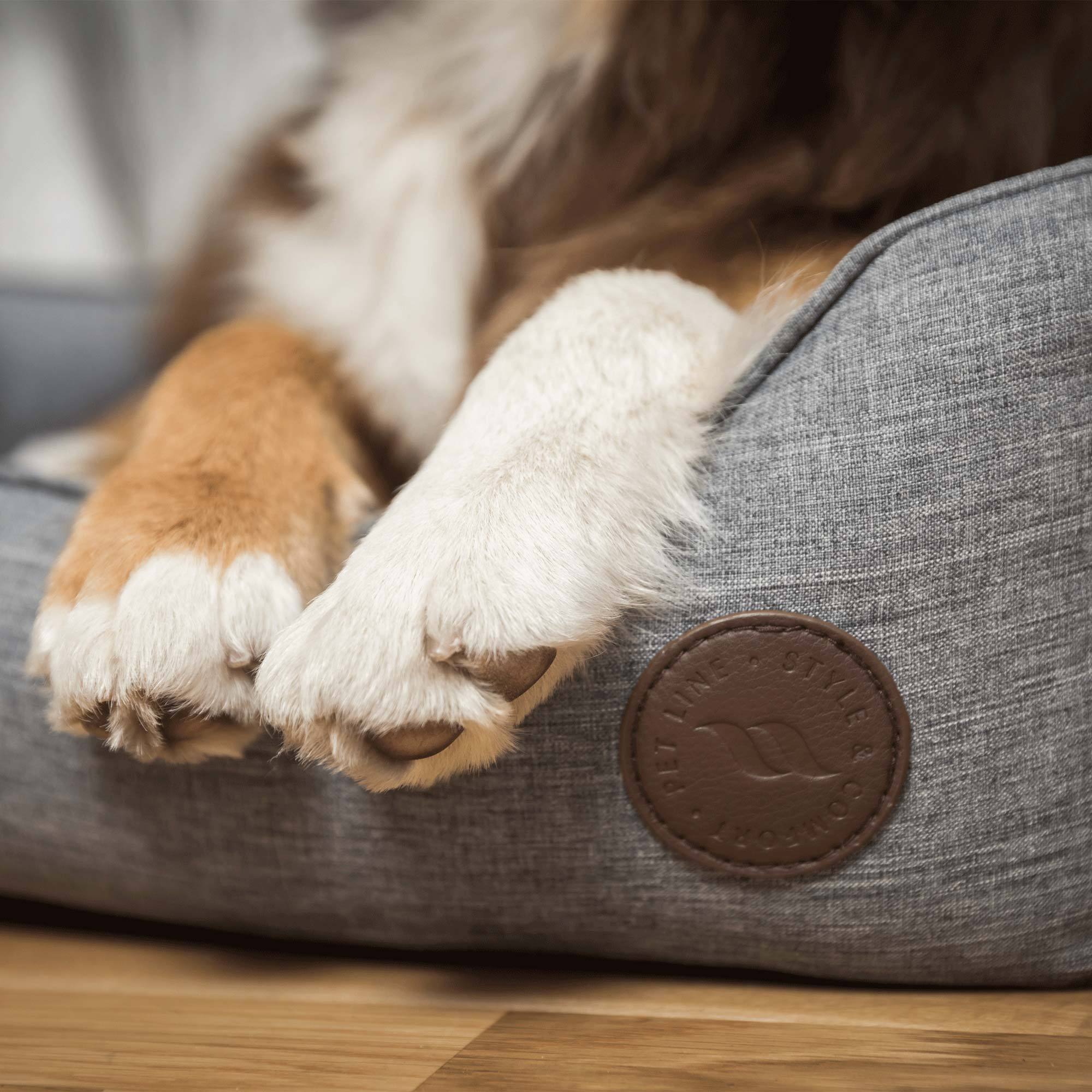 Rocky hundekurv
