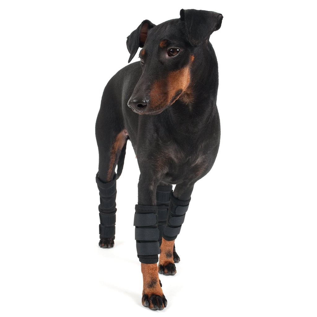 Hundbenskydd - Back on Track Danmark