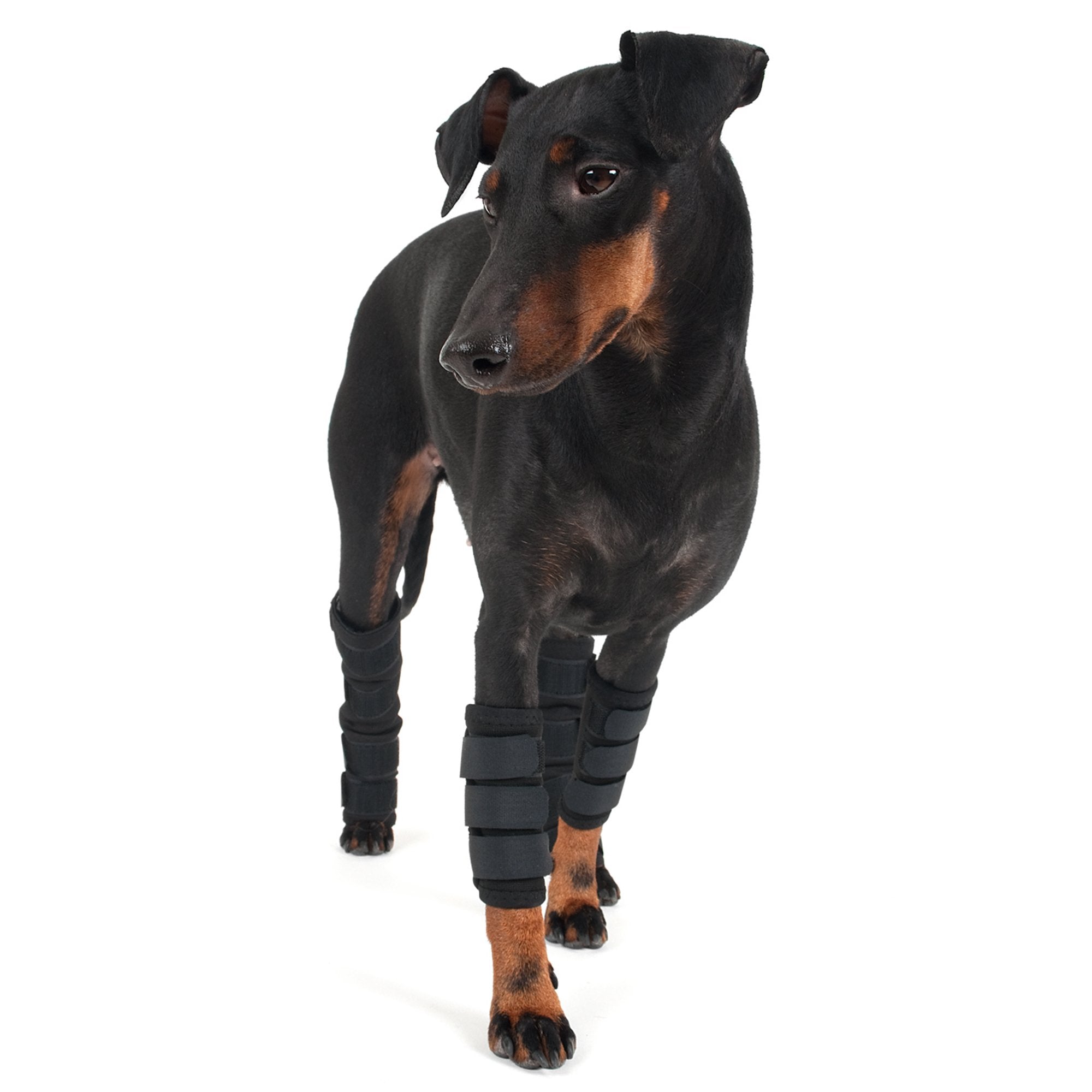 Hundbenskydd - Back on Track Danmark