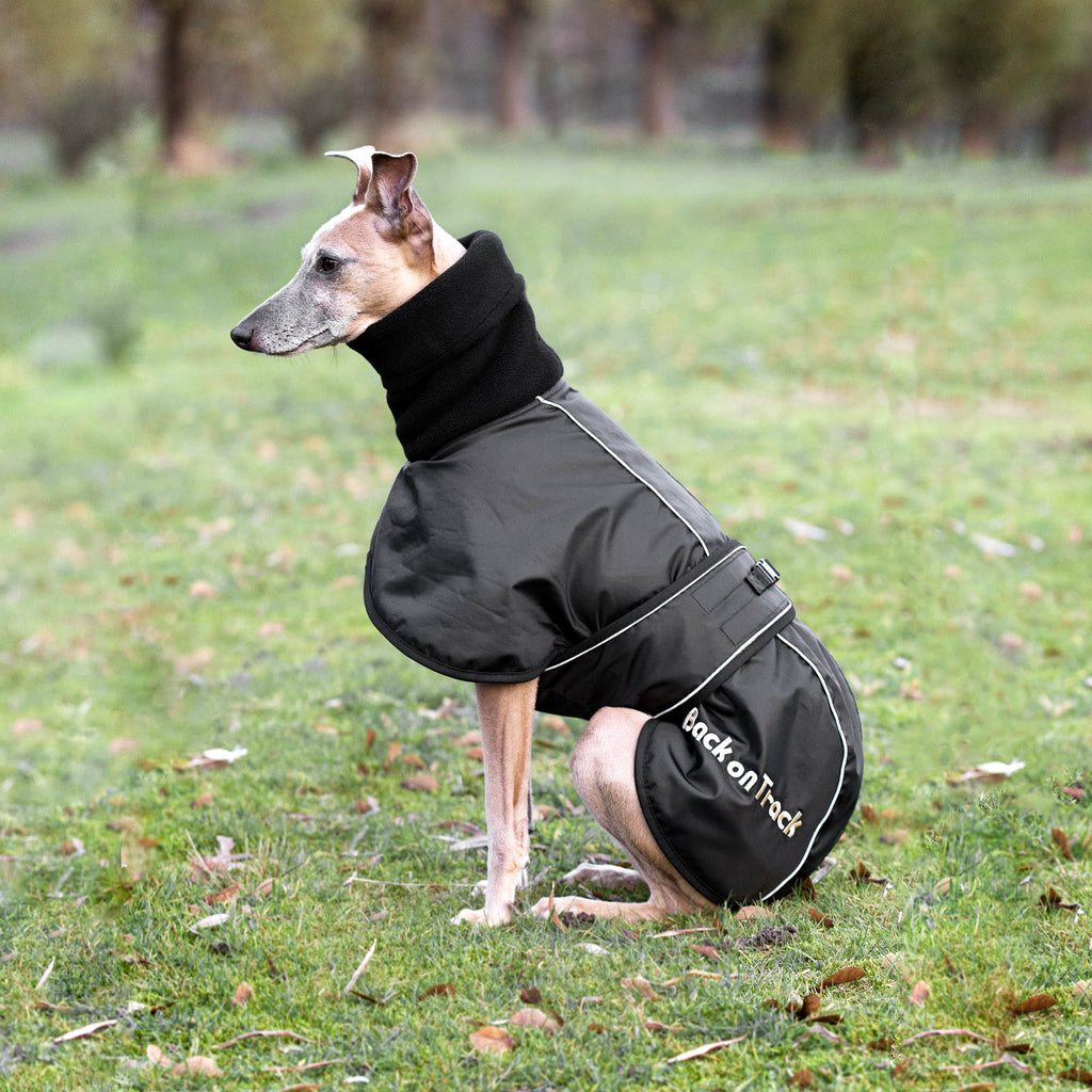 Whippet dækken - Back on Track Danmark