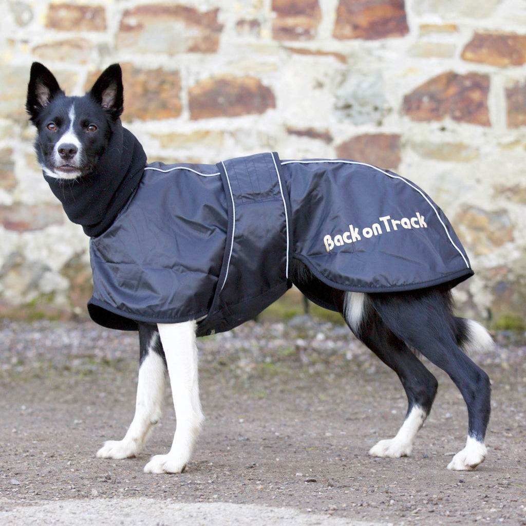 Whippet dækken - Back on Track Danmark