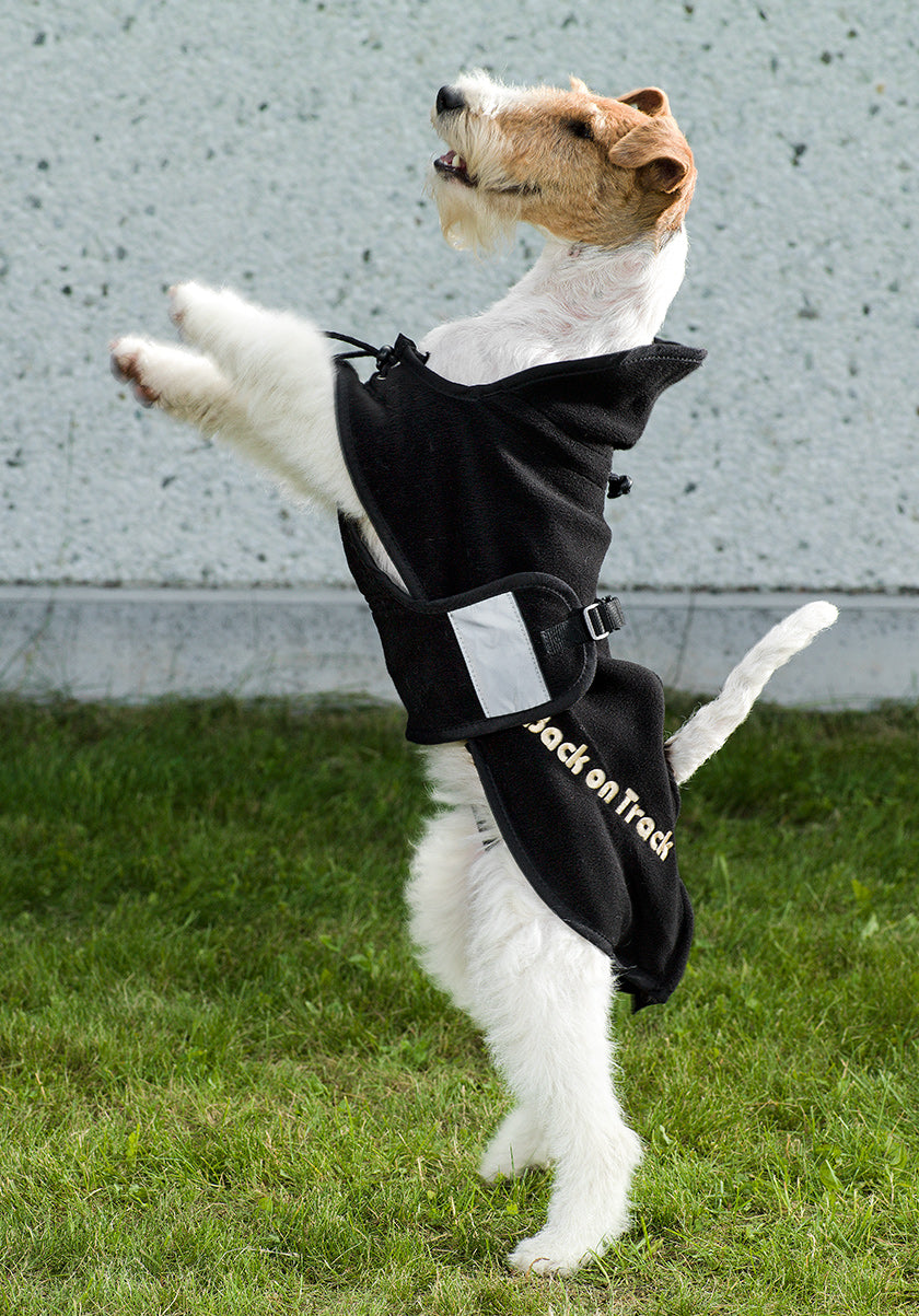 Fleecedækken Hund