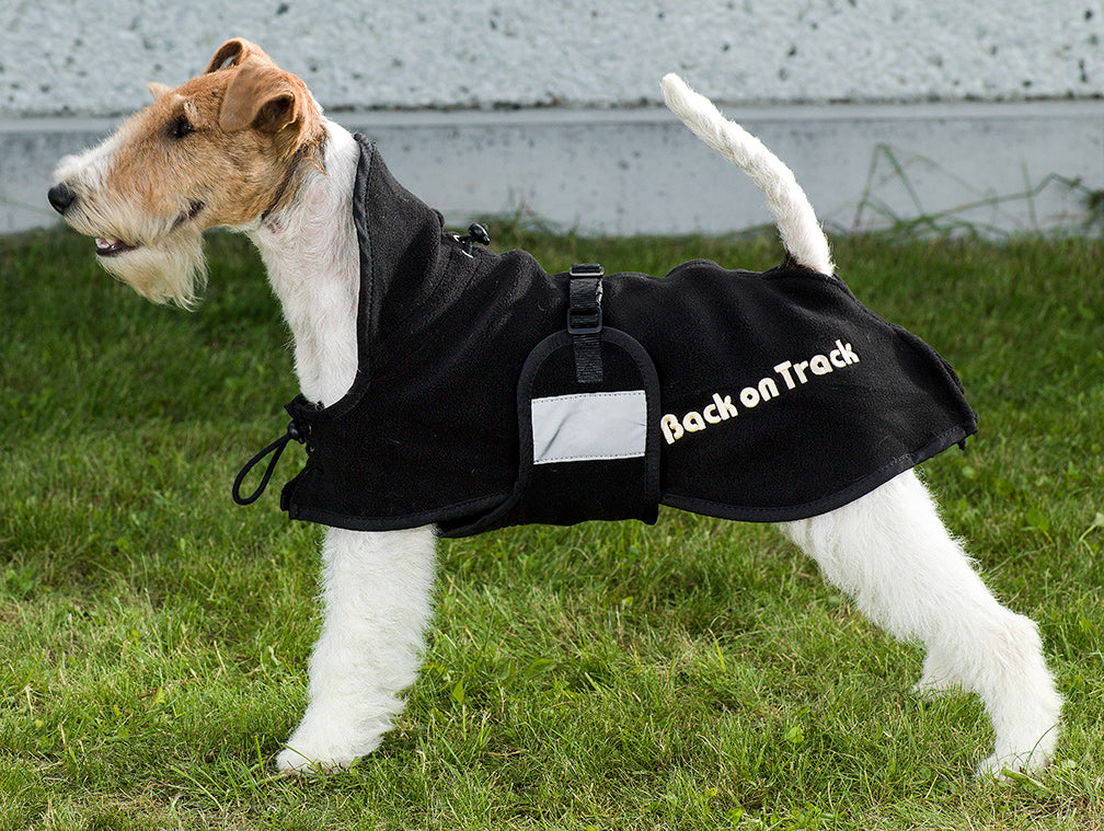 Fleecedækken Hund