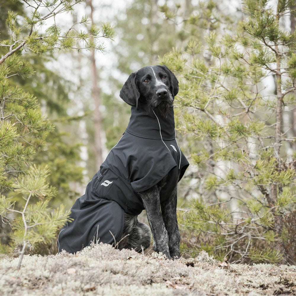 Hundedækken Nella