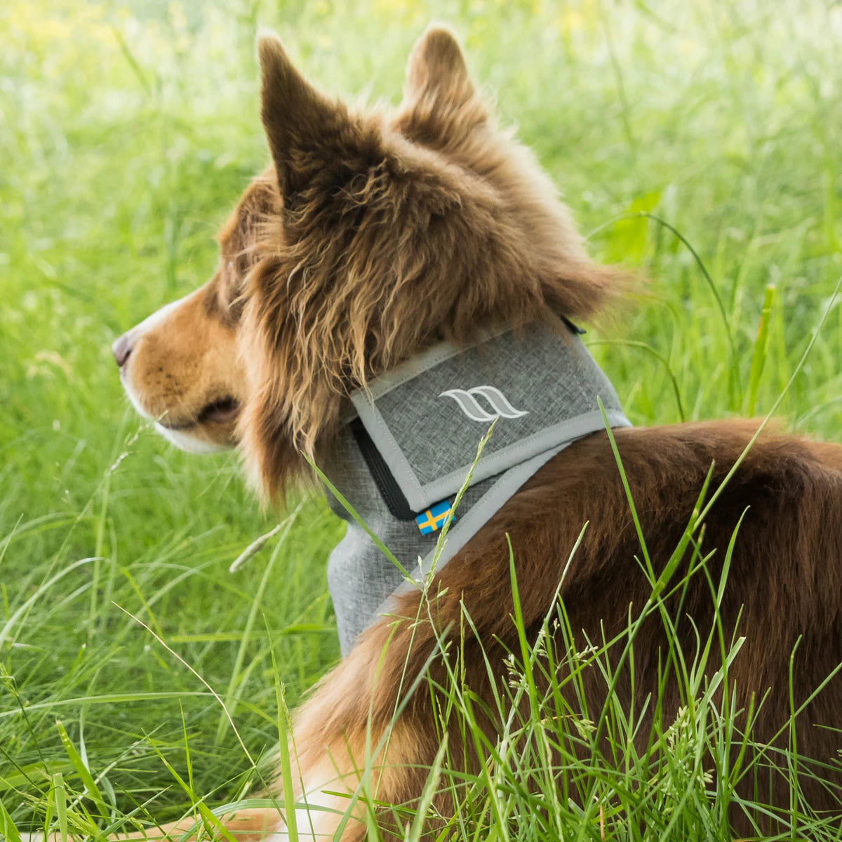 Draco Reflex bandana Grå