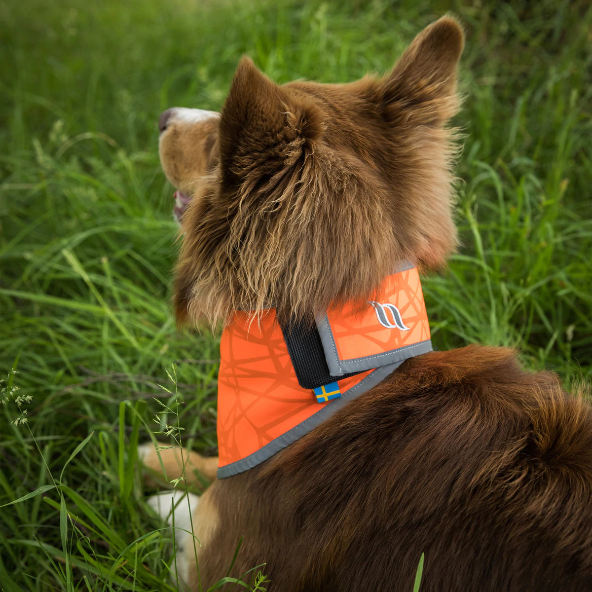 Draco Reflex bandana Orange