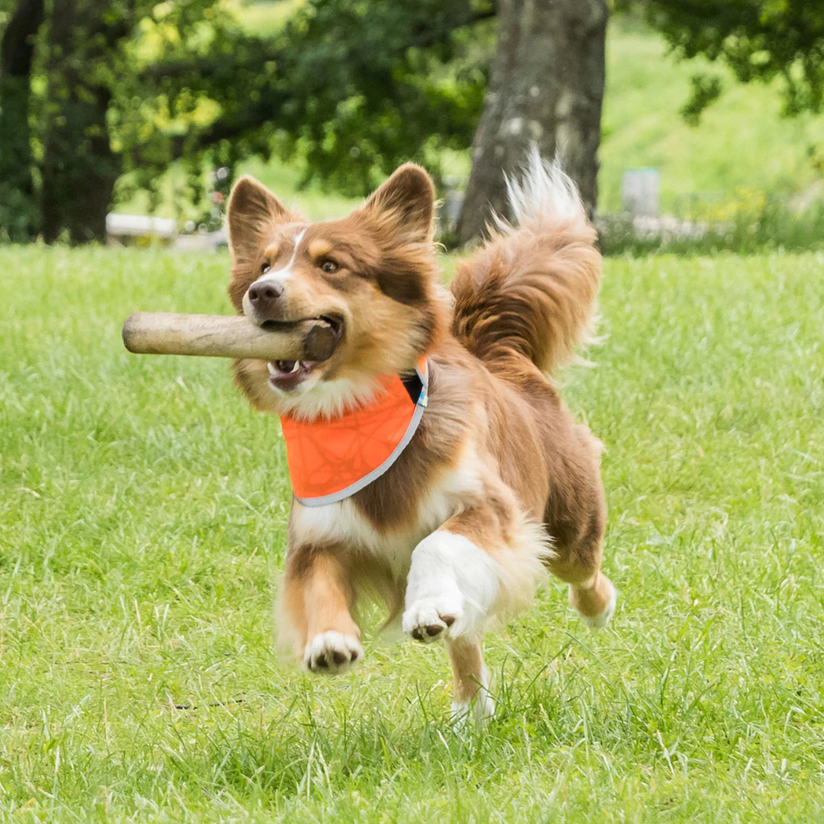 Draco Reflex bandana Orange