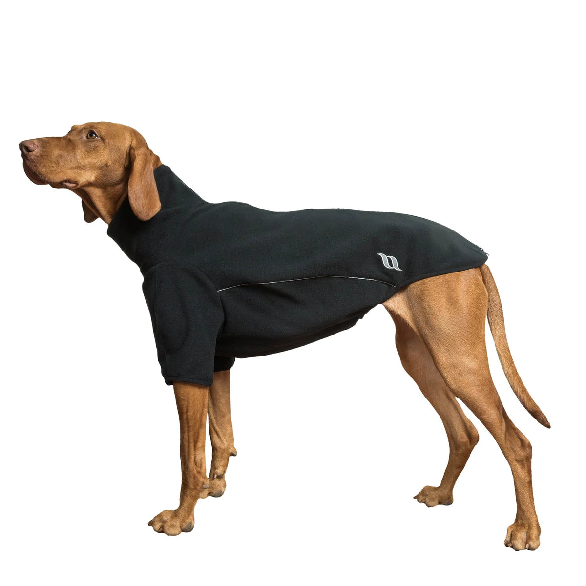 Hundetrøje Cassie
