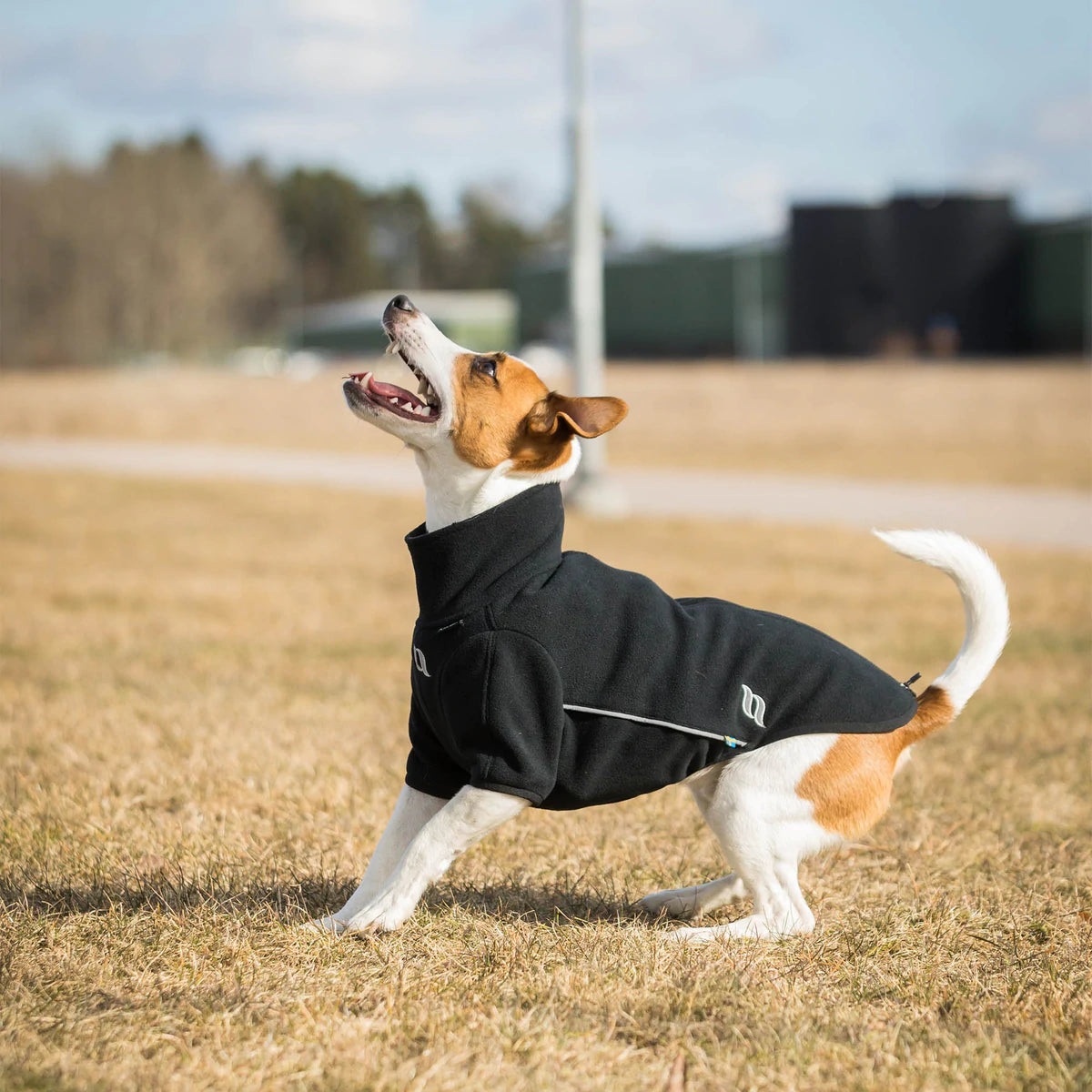 Hundetrøje Cassie