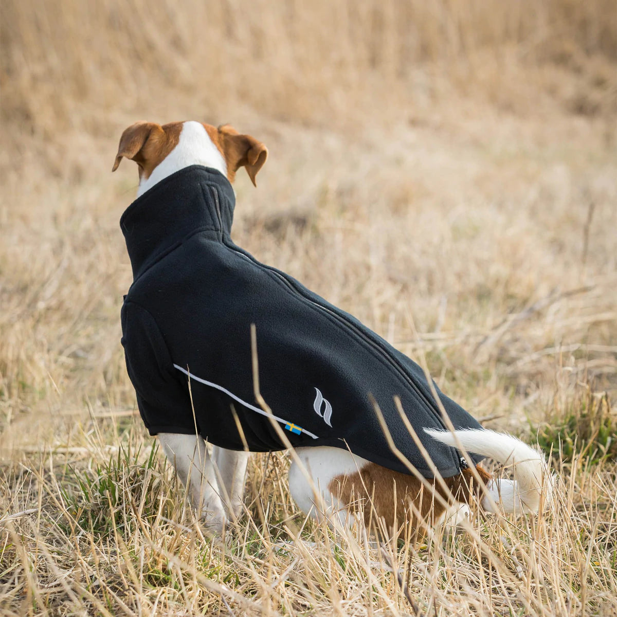 Hundetrøje Cassie