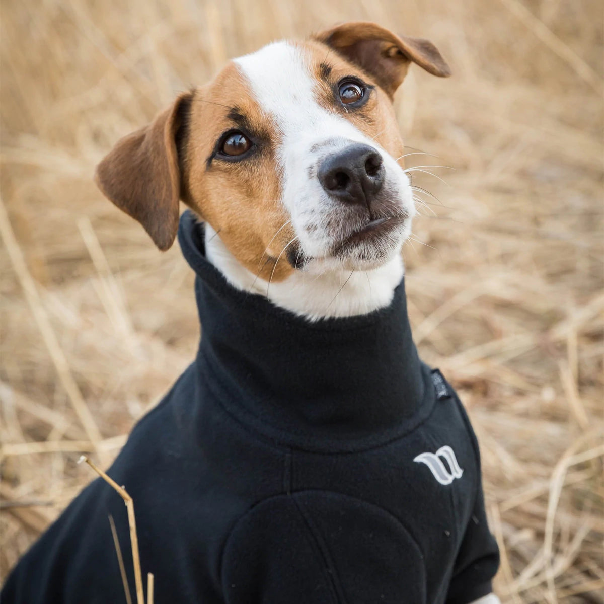 Hundetrøje Cassie