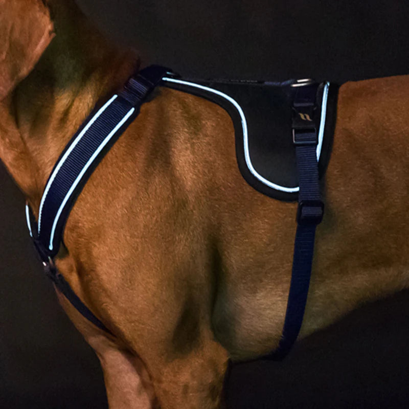 Max hundesele