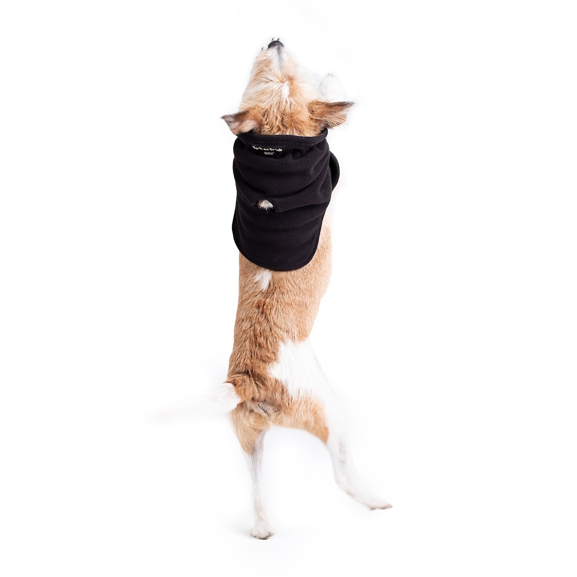 Fleece hals BOB - Back on Track Danmark