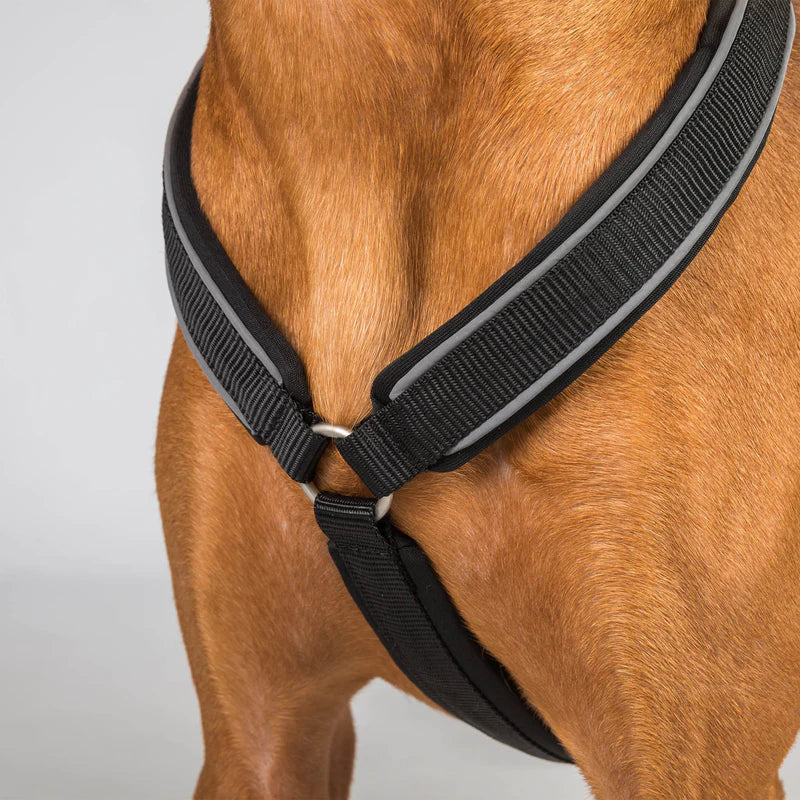 Max hundesele