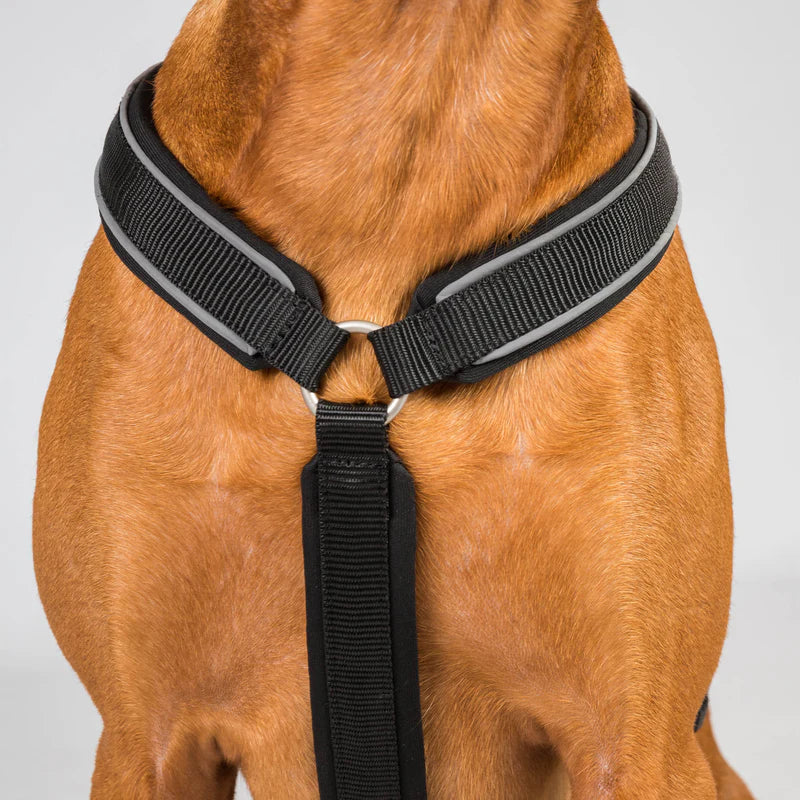 Max hundesele