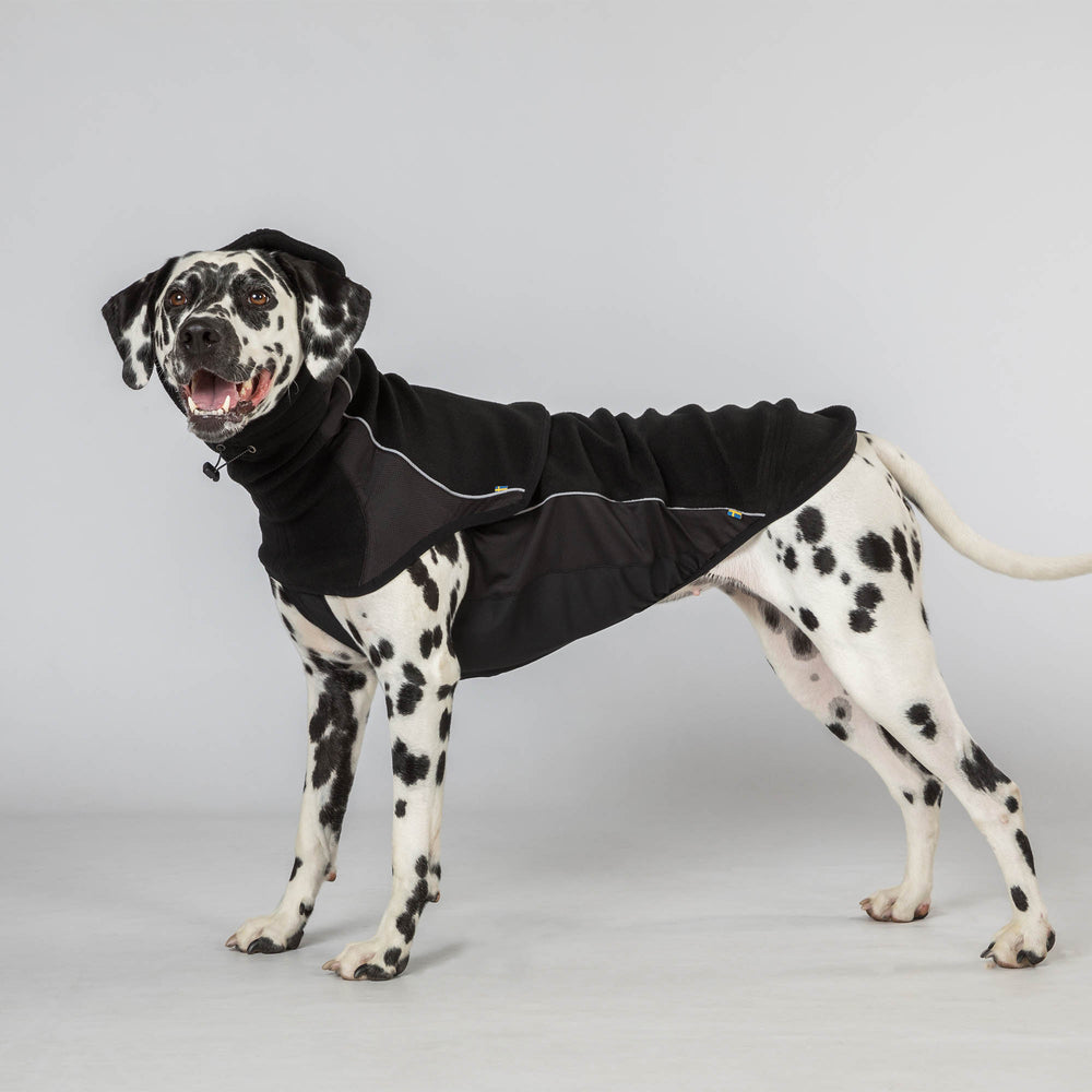 Eddie hundetrøje