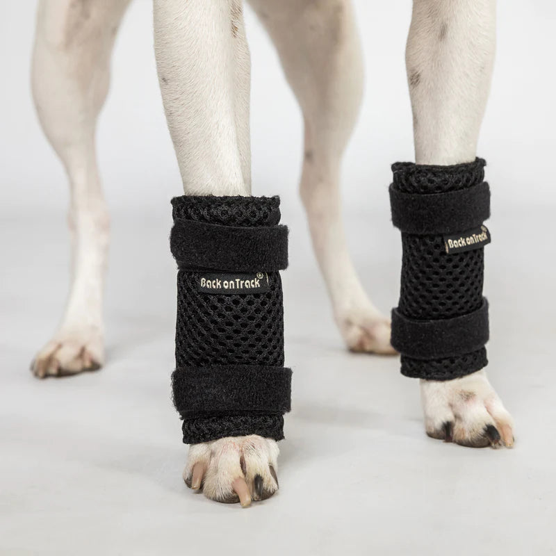 Milo benbandage