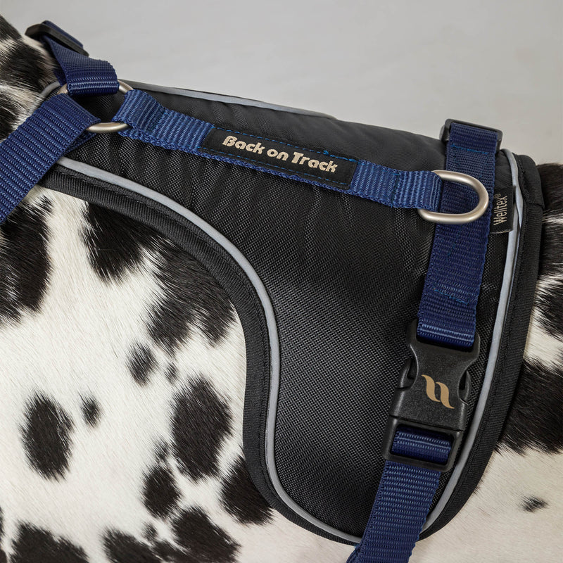 Max hundesele