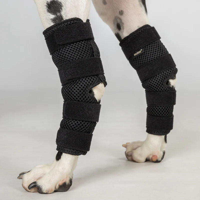 Dixie hasebandage