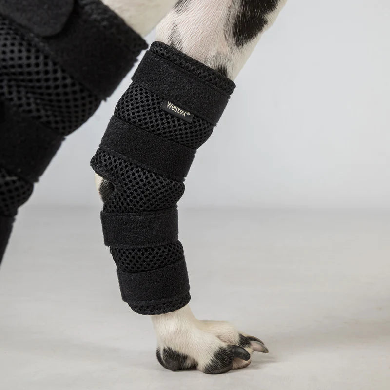 Dixie hasebandage