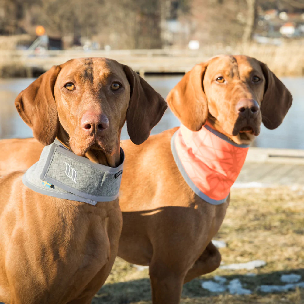 Draco Reflex bandana Orange
