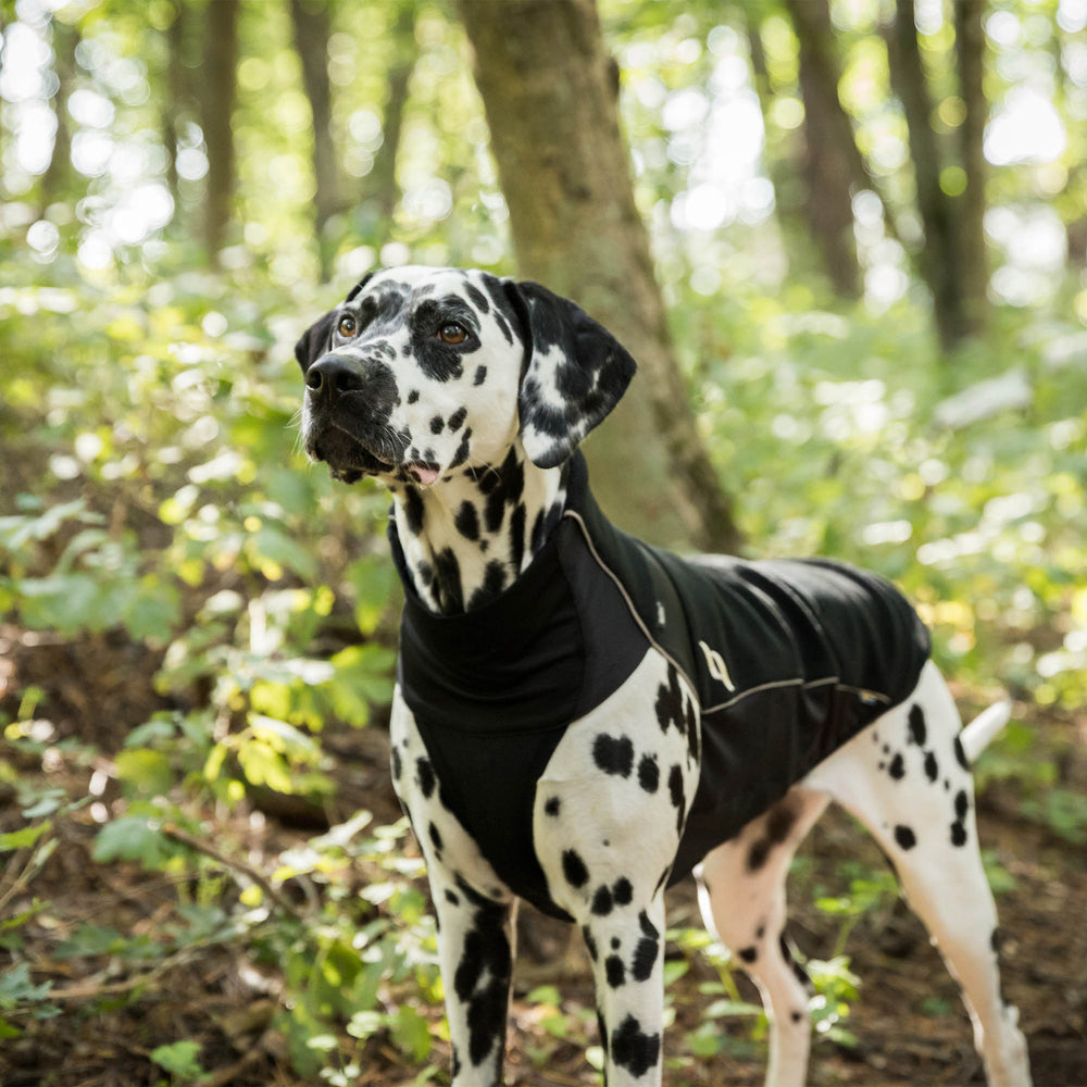 Eddie hundetrøje