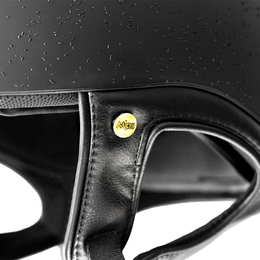 EQ3 Lynx Eventing - Back on Track Sverige